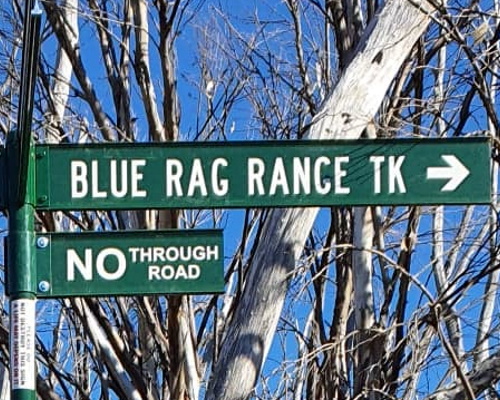 Blue Rag Range Track in High Country